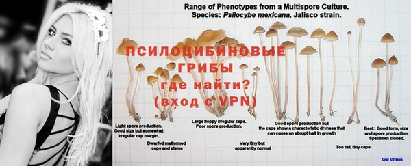 герыч Бородино